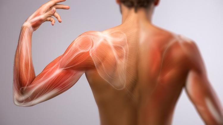 43057224_43057190 (1)